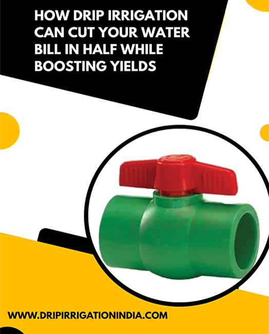 Ball Valve Manufacturer in India