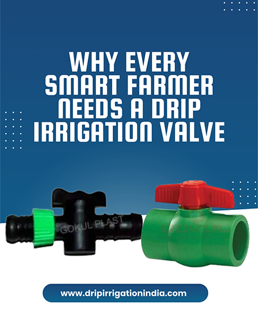 Ball Valve Manufacturer in India